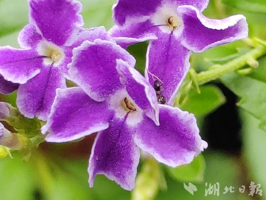 信誉赌盘线上